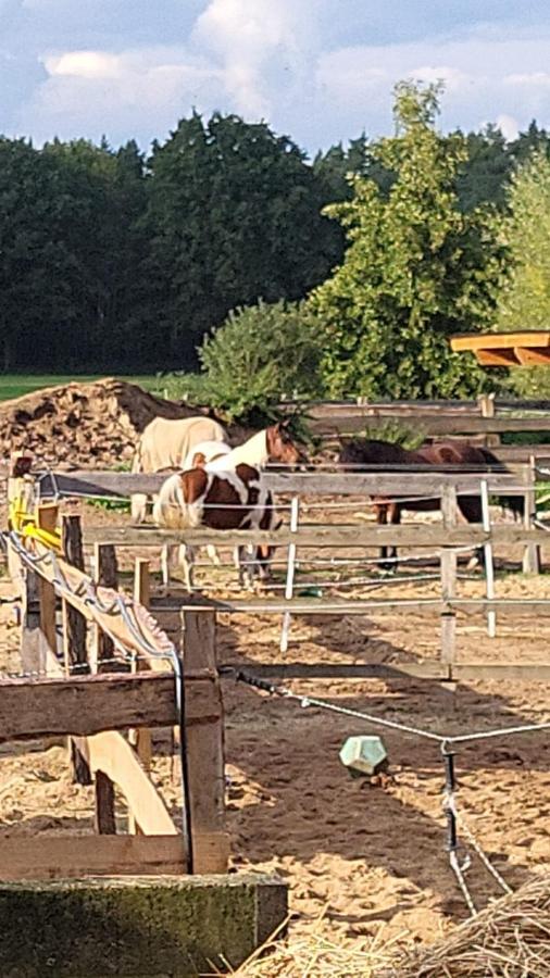 Pferdeparadies Calm River Ranch Wedemark Buitenkant foto